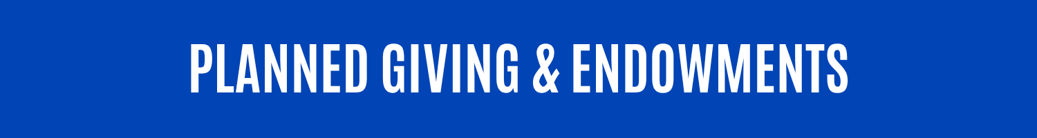 Planned giving & endowments